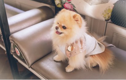 Evlatlarımızı Sahiplenin Kendinizi Mutlu Edin