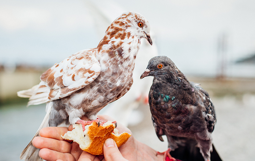 Evlatlarımızı Sahiplenin Kendinizi Mutlu Edin