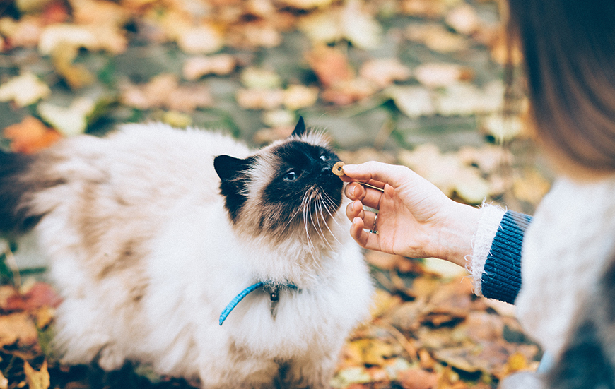 Evlatlarımızı Sahiplenin Kendinizi Mutlu Edin