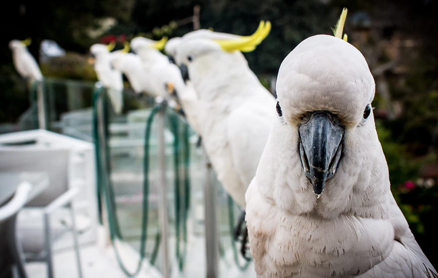 Evlatlarımızı Sahiplenin Kendinizi Mutlu Edin