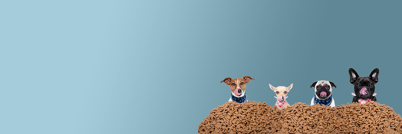 Mamalarda Büyük kampanya!