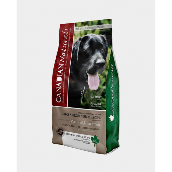 Hagen Vision S01 Kus Kafesi